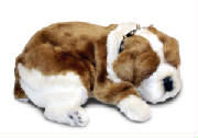 bulldog.jpg