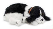 cockerspaniel.jpg