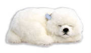 maltese.jpg