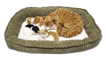 porchcats.jpg